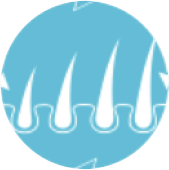 SpeedsHair Growth