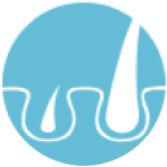 Strengthens &Thickens Hair